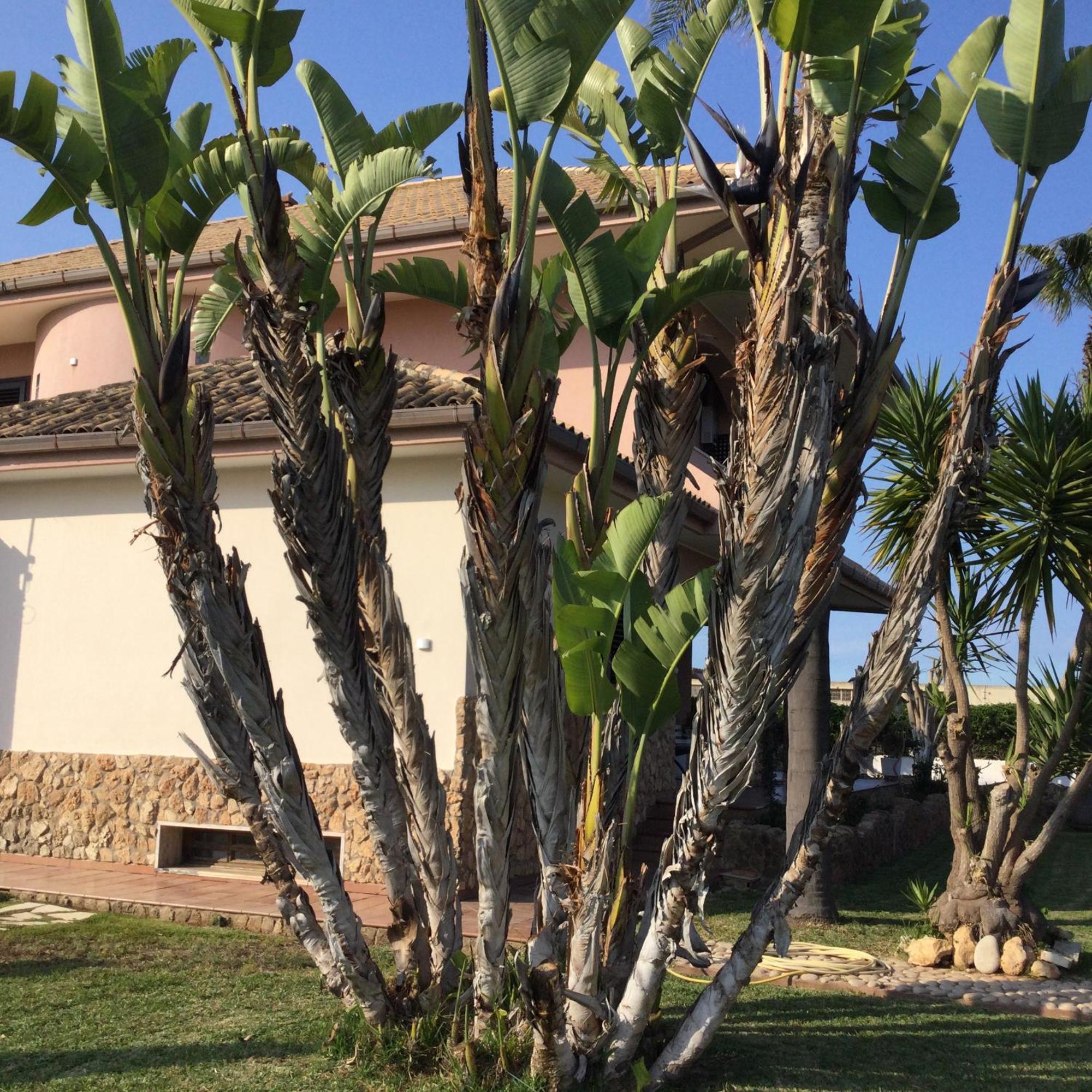 B&B Sicilia Bella Cassibile Extérieur photo